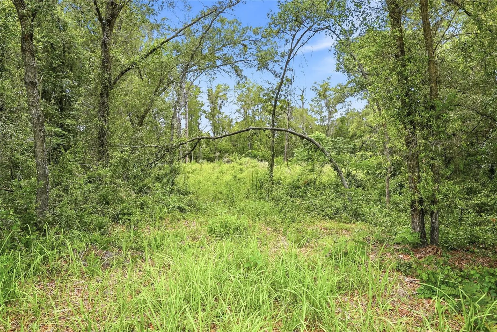 7002 N Castlebury Hernando FL 34442
