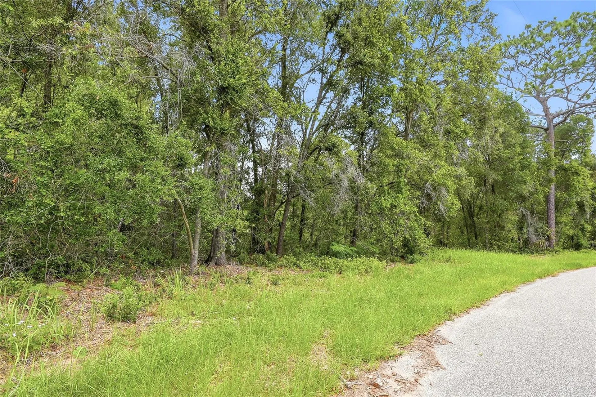 7002 N Castlebury Hernando FL 34442