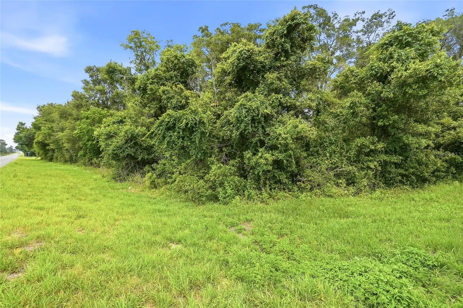 7002 N Castlebury Hernando FL 34442