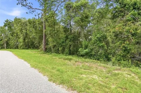 7002 N Castlebury Hernando FL 34442