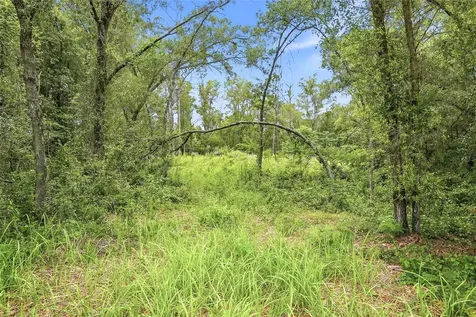 7002 N Castlebury Hernando FL 34442