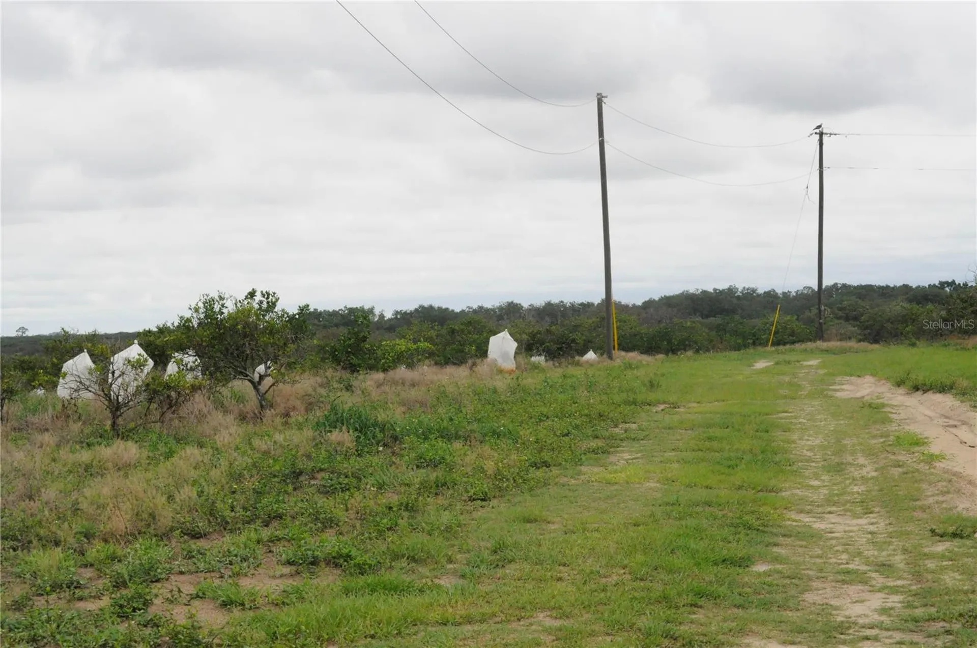 3961 Byron Boulevard Avon Park FL 33825
