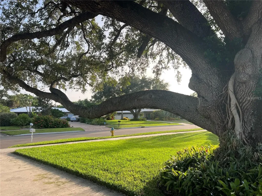 329 Bernard Avenue Sarasota FL 34243
