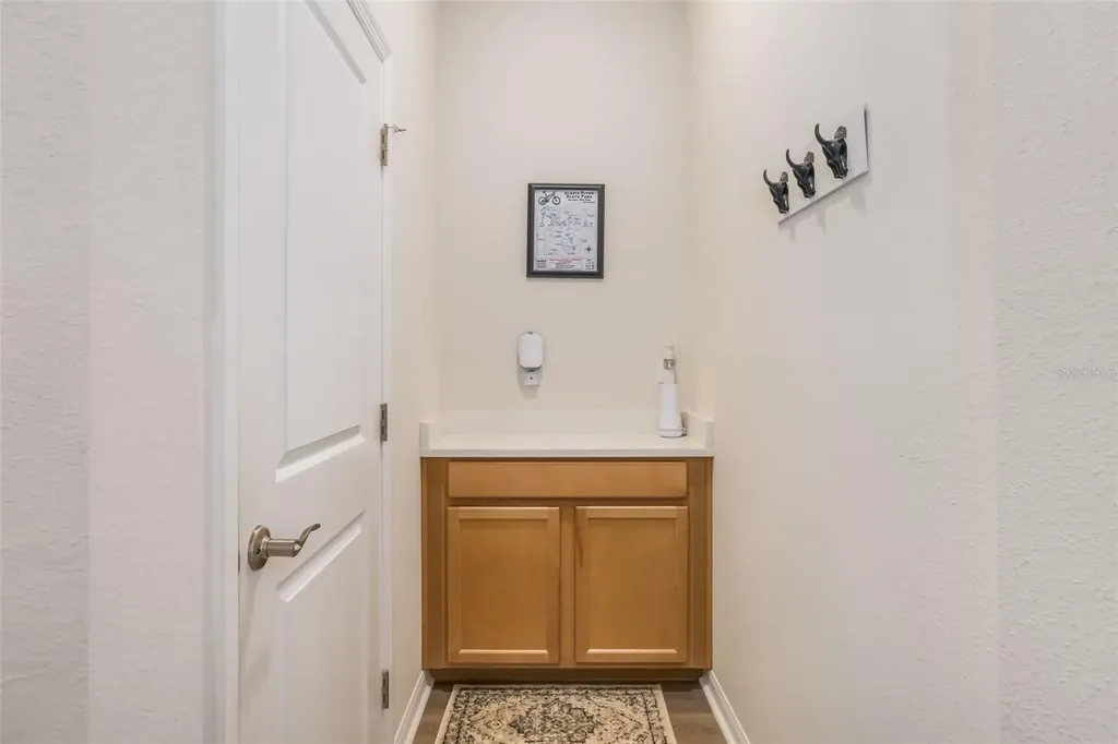 13512 Palmera Vista Drive Riverview FL 33579