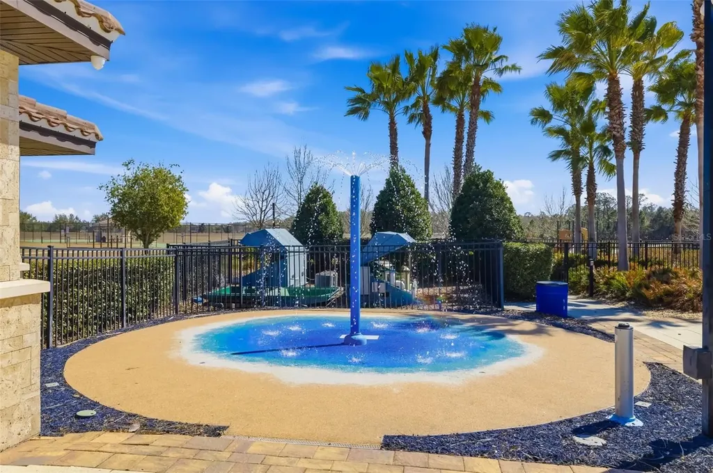 13512 Palmera Vista Drive Riverview FL 33579