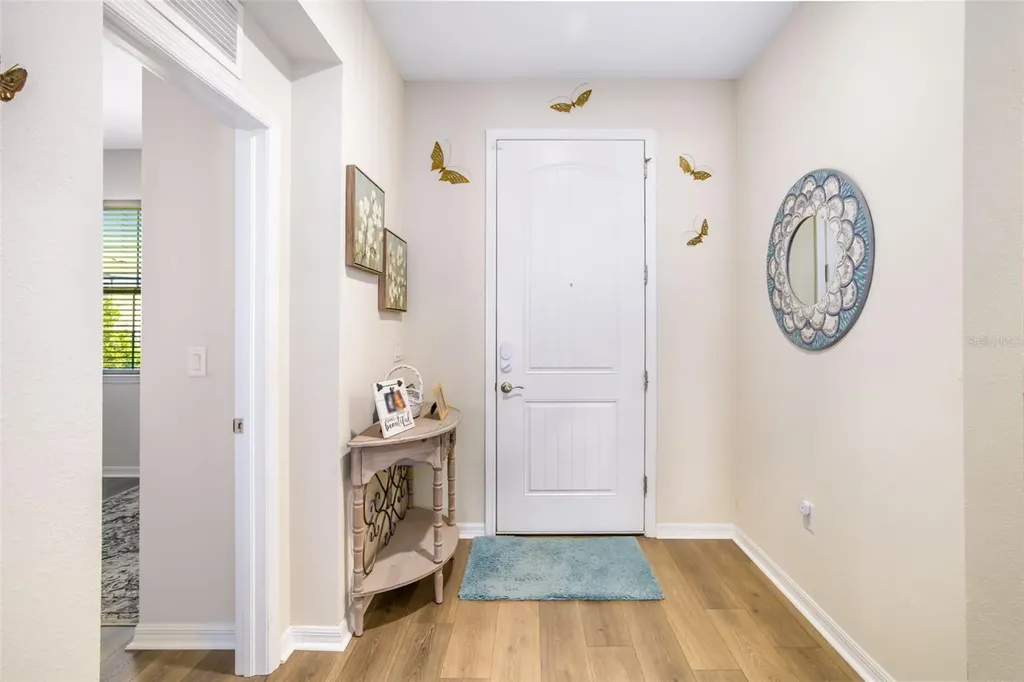 13512 Palmera Vista Drive Riverview FL 33579