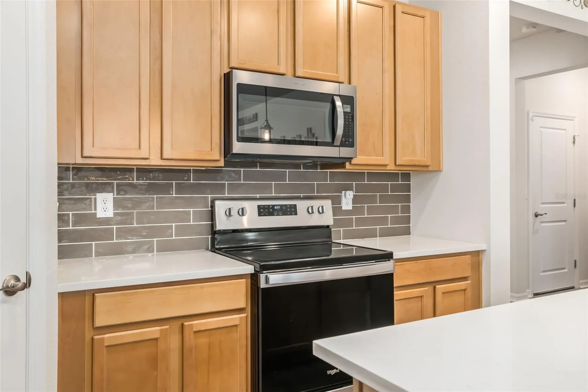 13512 Palmera Vista Drive Riverview FL 33579