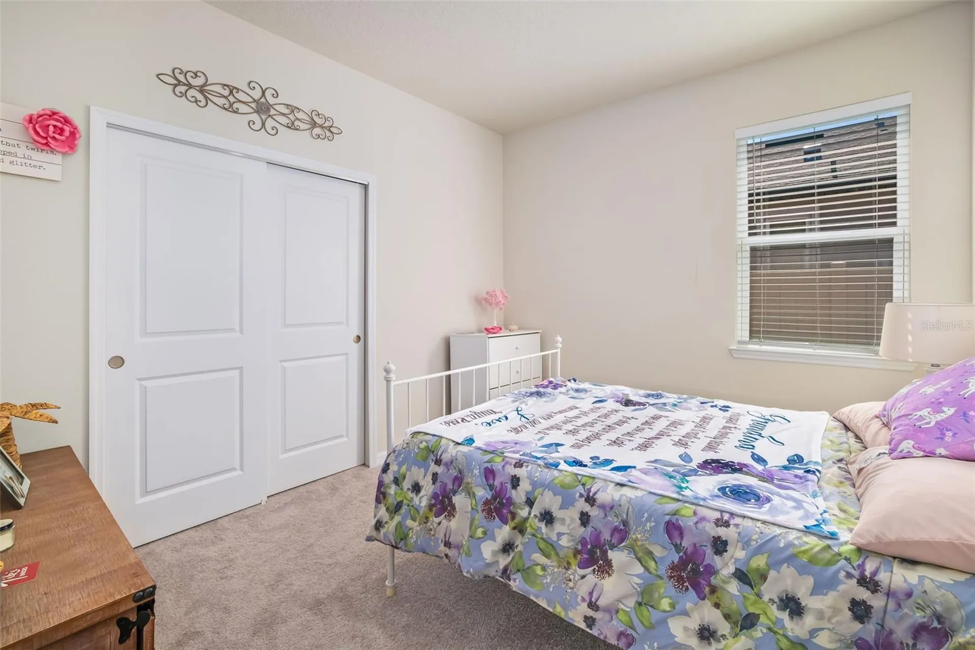 13512 Palmera Vista Drive Riverview FL 33579