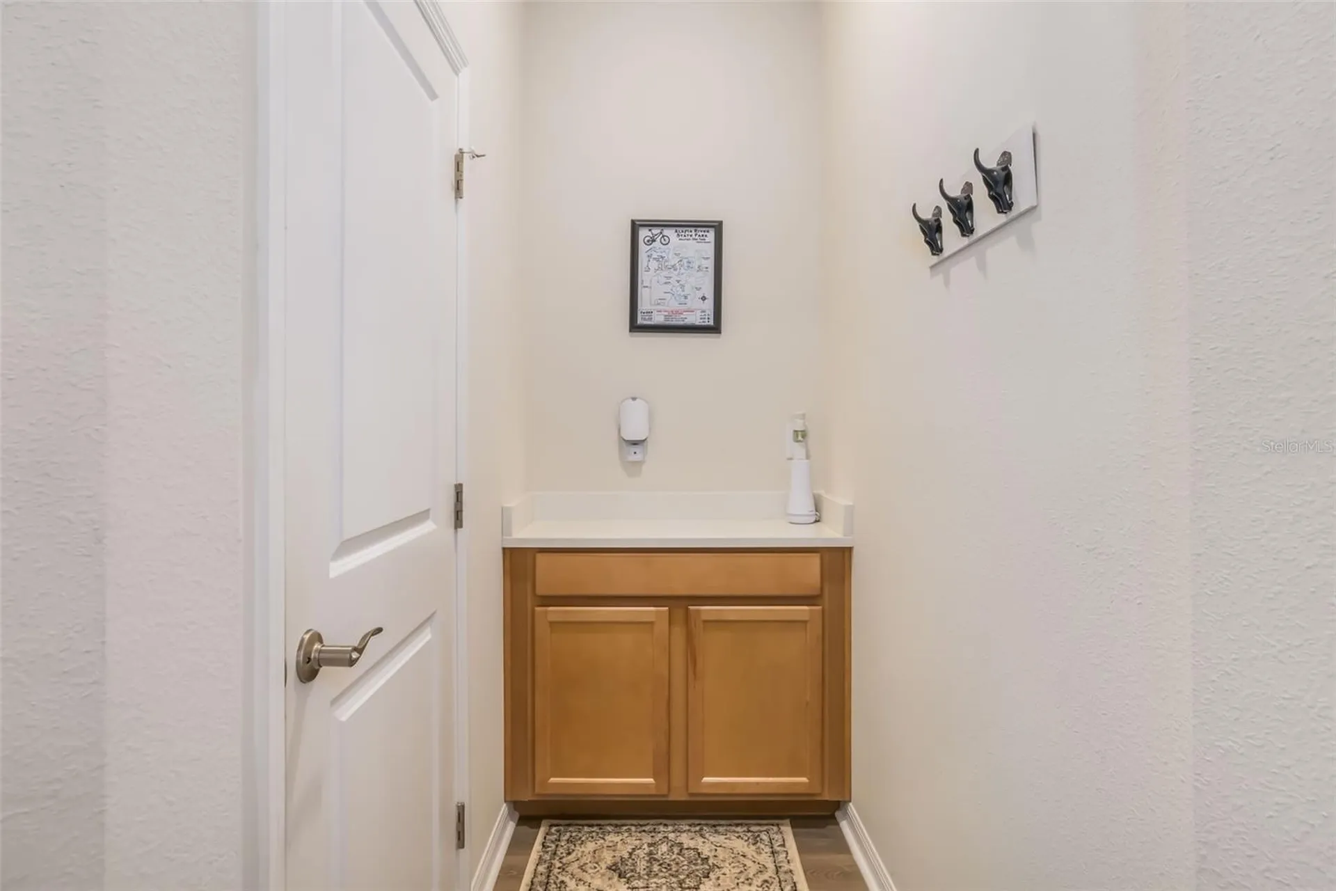 13512 Palmera Vista Drive Riverview FL 33579