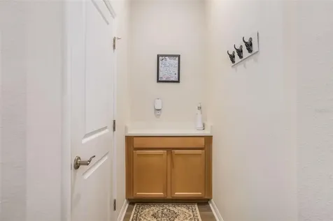 13512 Palmera Vista Drive Riverview FL 33579
