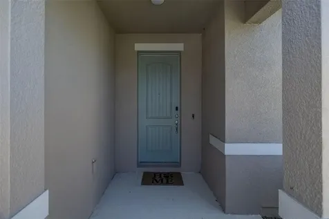 13512 Palmera Vista Drive Riverview FL 33579
