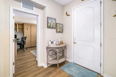 13512 Palmera Vista Drive Riverview FL 33579
