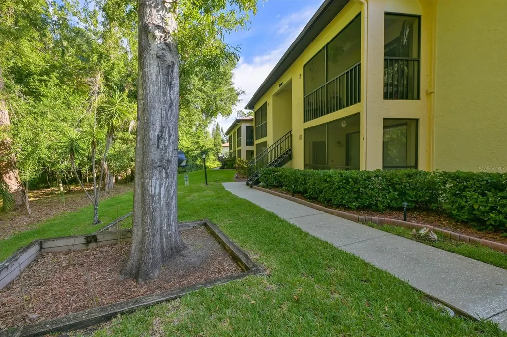 3301 Crystal Court E Palm Harbor FL 34685
