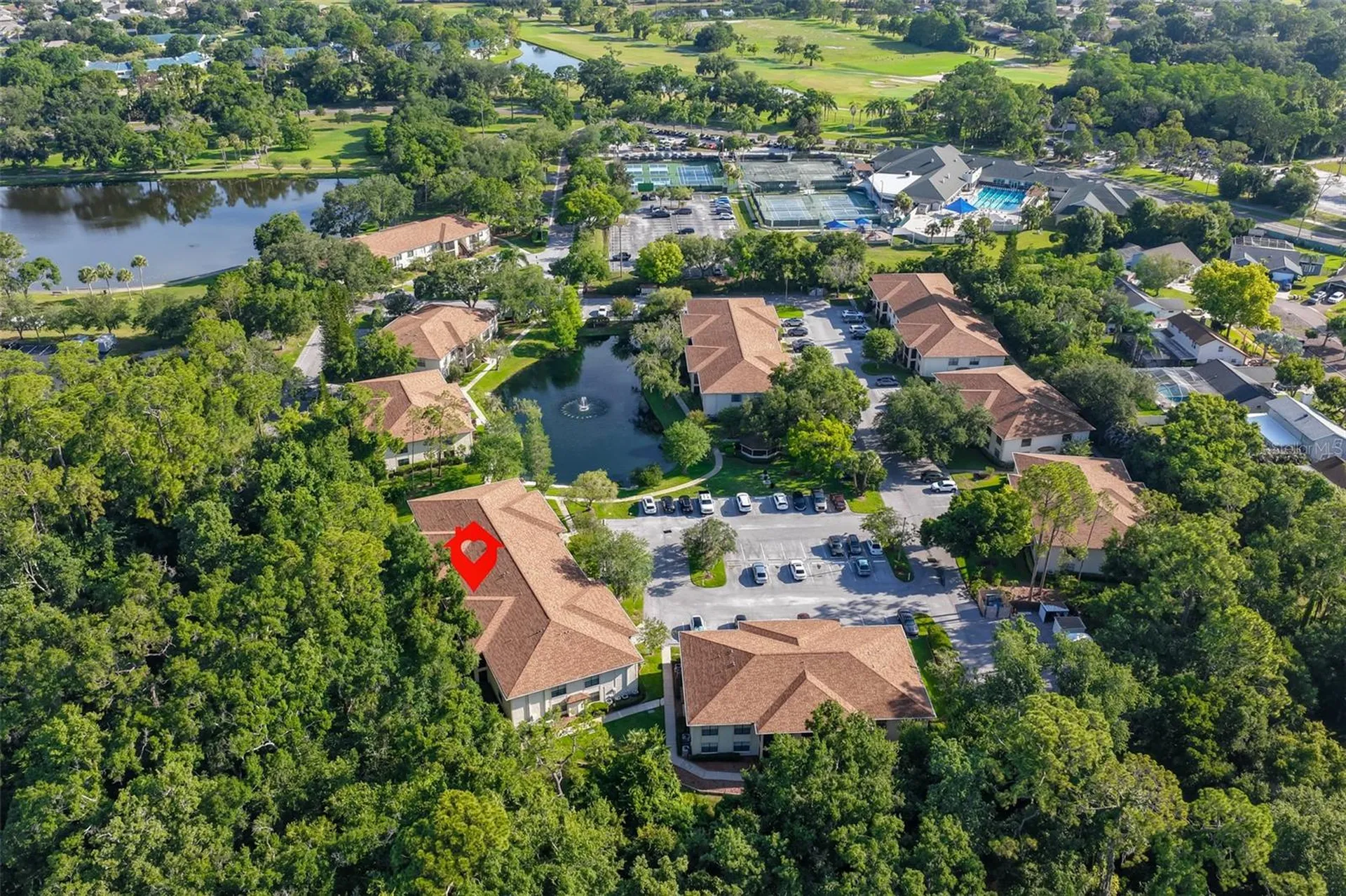 3301 Crystal Court E Palm Harbor FL 34685
