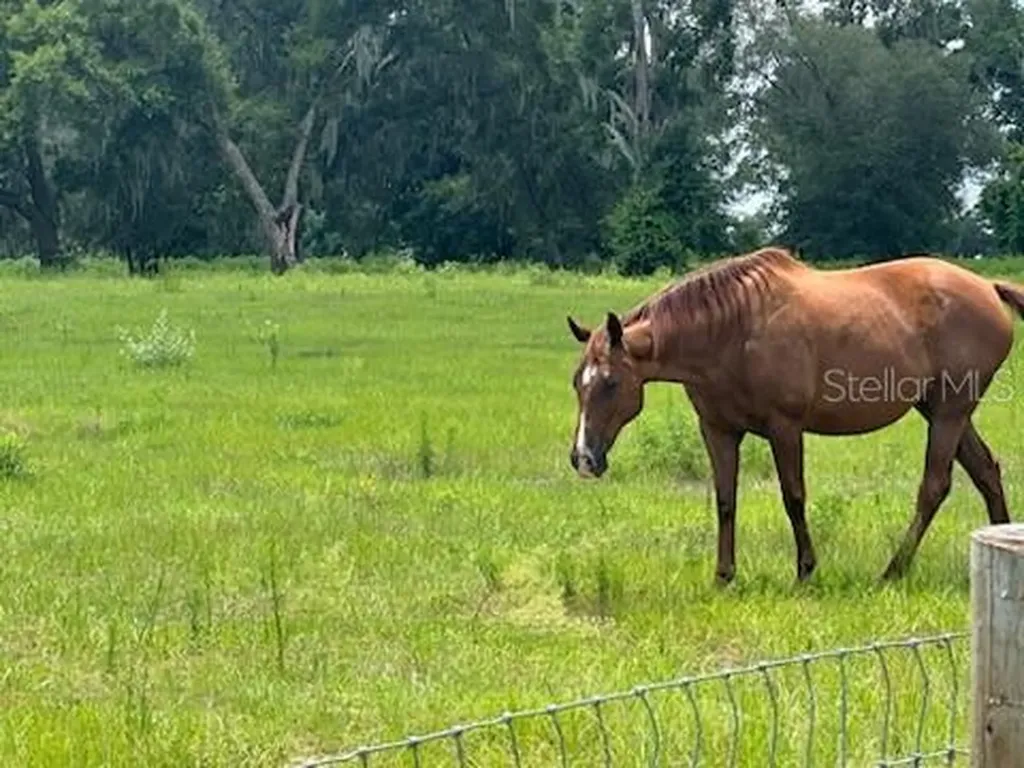 14854 NE Jacksonville Road Citra FL 32113