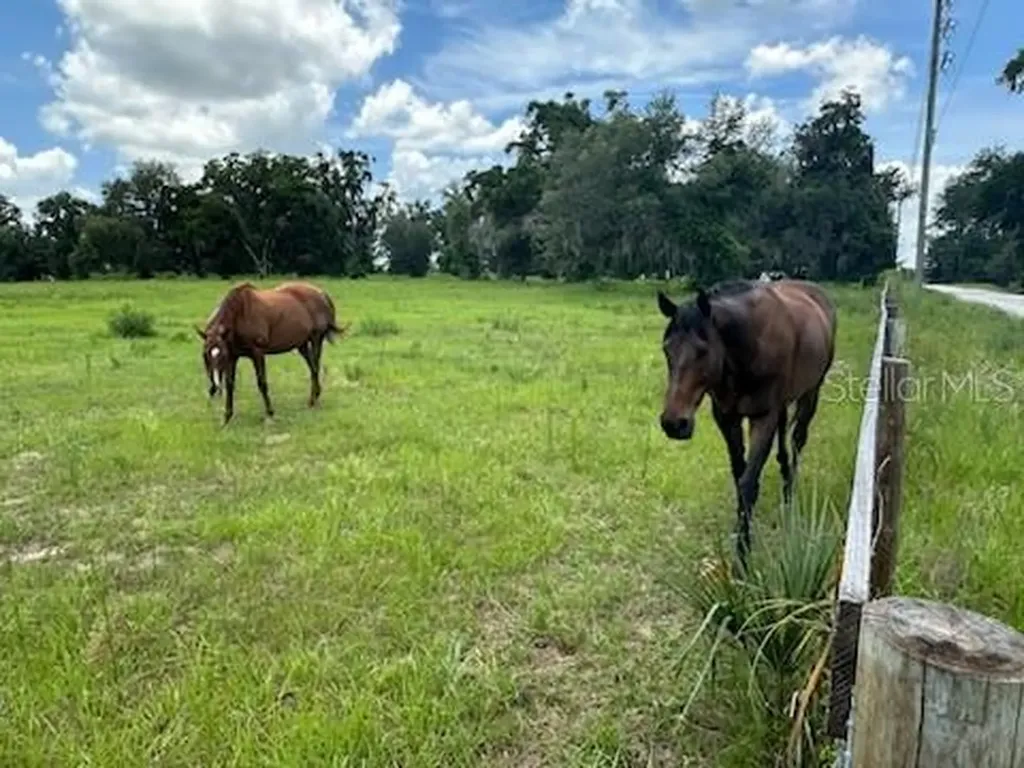 14854 NE Jacksonville Road Citra FL 32113