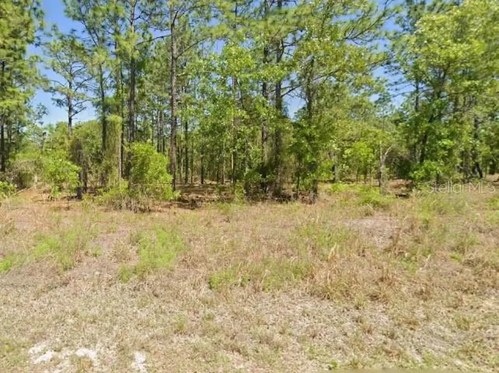 SW Harbor Hills Road Dunnellon FL 34431