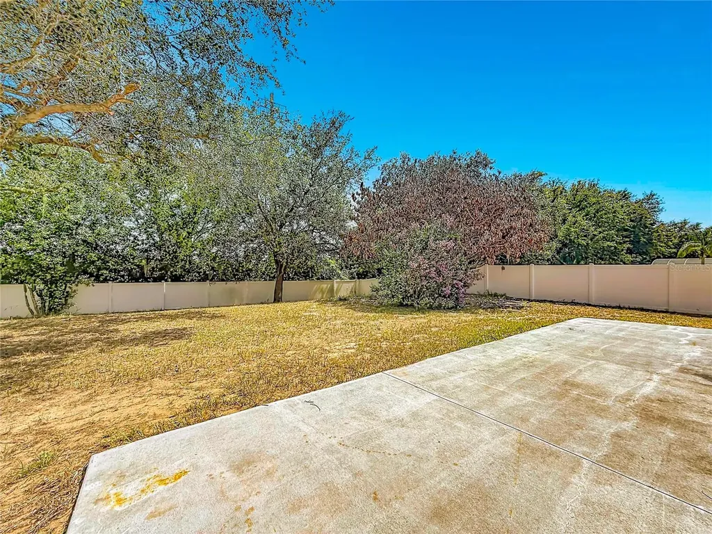 31806 Parkdale Drive Leesburg FL 34748