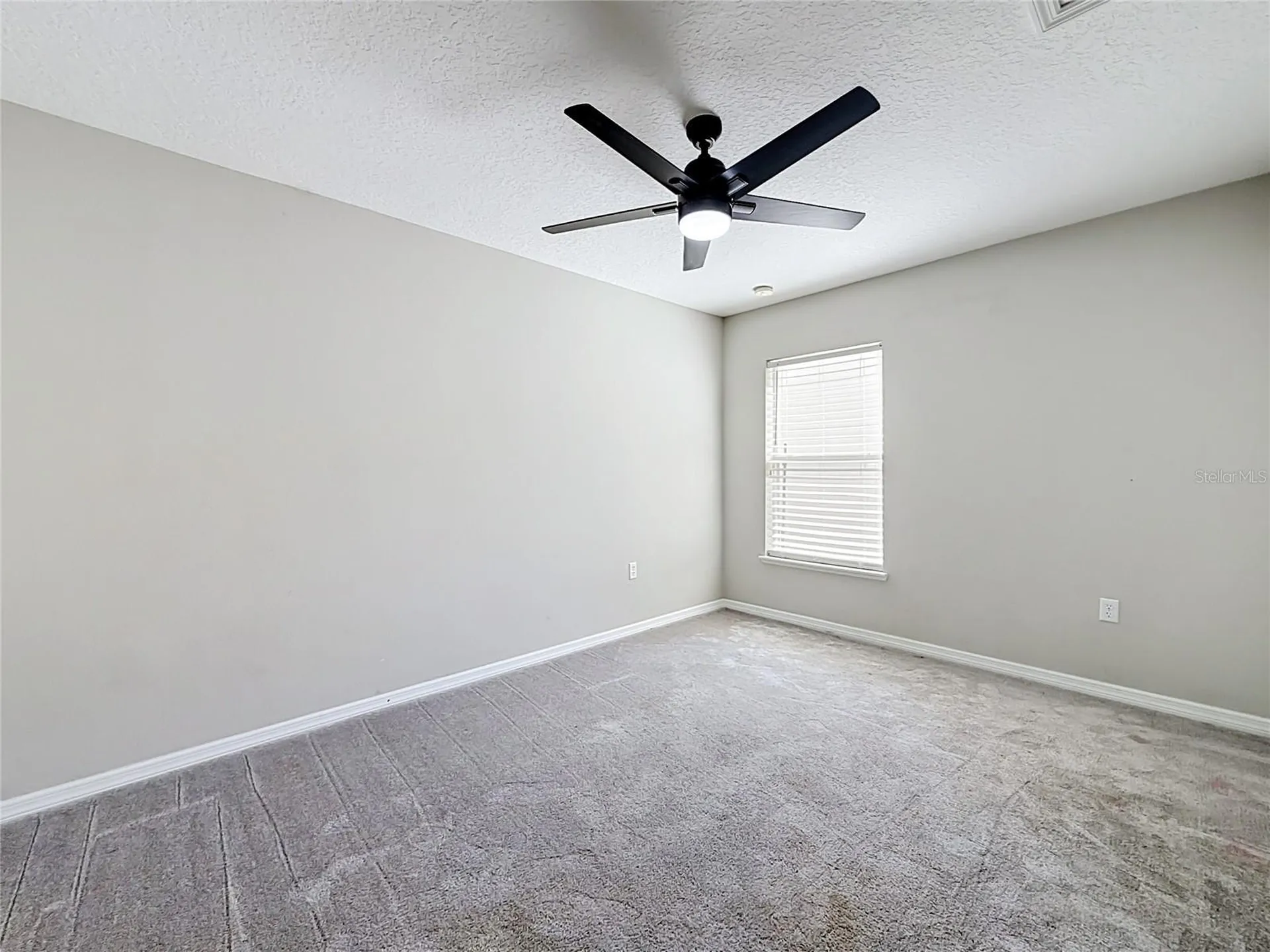 31806 Parkdale Drive Leesburg FL 34748