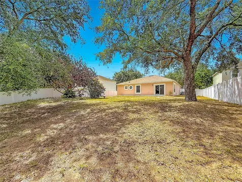 31806 Parkdale Drive Leesburg FL 34748
