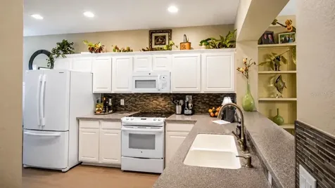 13260 SE 92nd Court Road Summerfield FL 34491