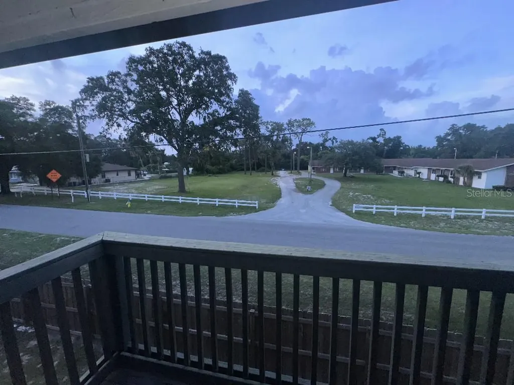 12406 Hibiscus Oak Place Tampa FL 33612