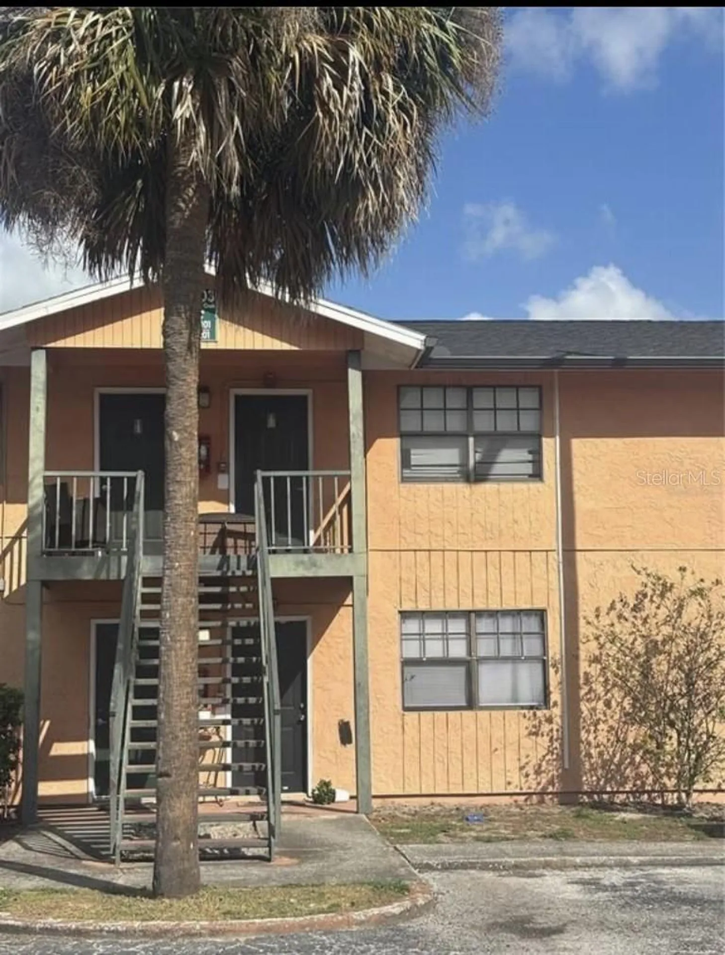 12406 Hibiscus Oak Place Tampa FL 33612