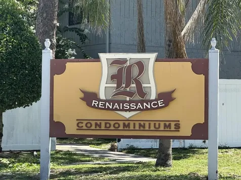 12406 Hibiscus Oak Place Tampa FL 33612