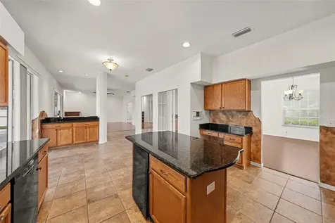 4227 Balington Drive Valrico FL 33596