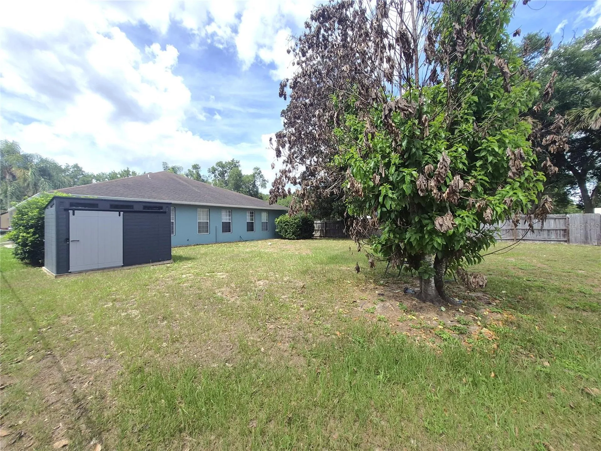 1051 Camp Avenue Mount Dora FL 32757