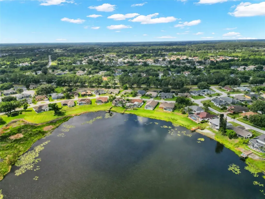 22523 Willow Lakes Drive Lutz FL 33549