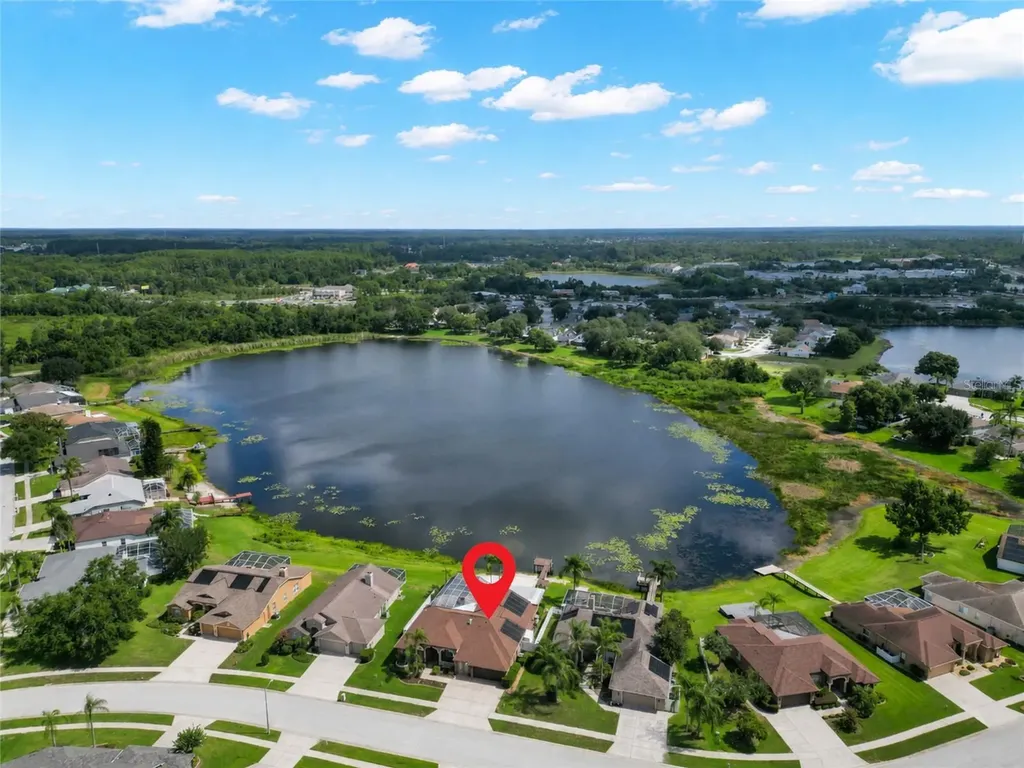 22523 Willow Lakes Drive Lutz FL 33549