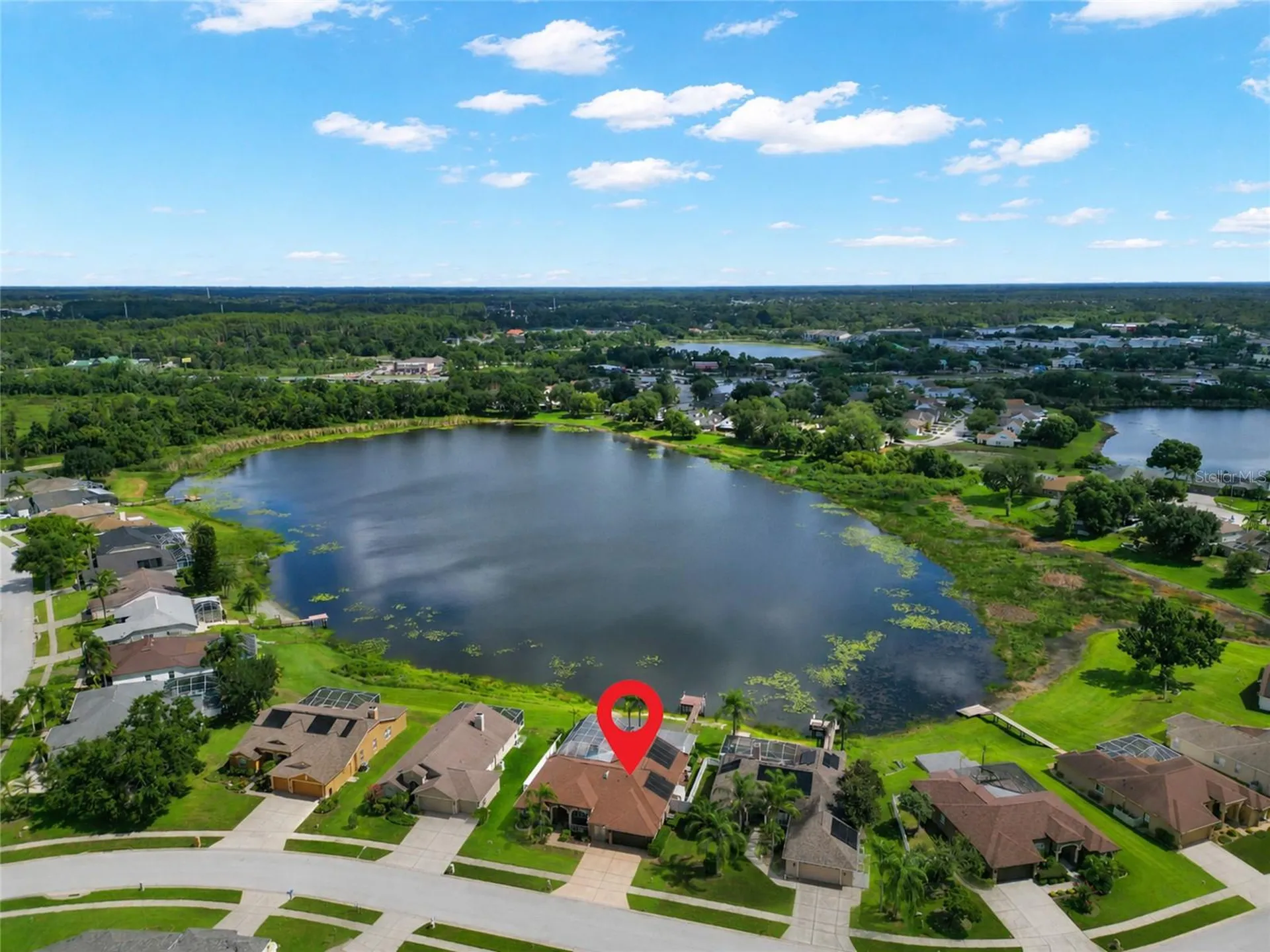 22523 Willow Lakes Drive Lutz FL 33549