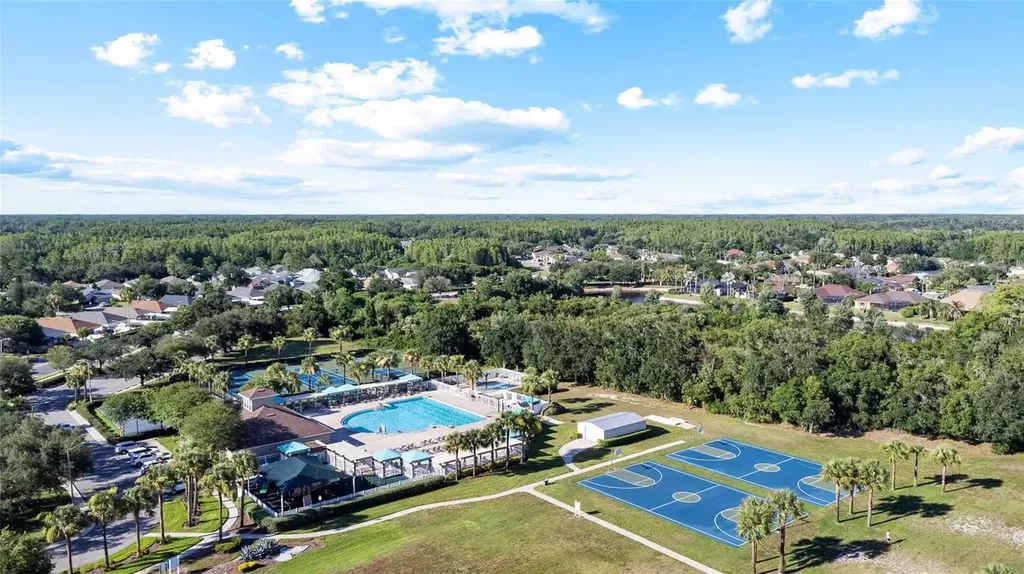 19619 Bergenfeld Drive Land O Lakes FL 34638