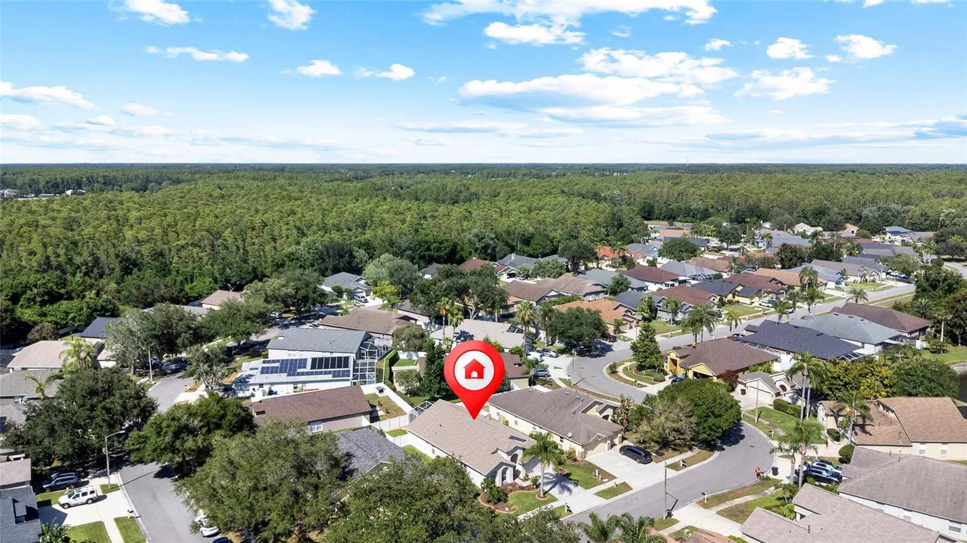 19619 Bergenfeld Drive Land O Lakes FL 34638