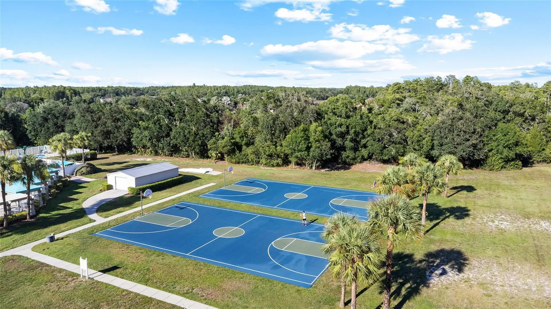 19619 Bergenfeld Drive Land O Lakes FL 34638