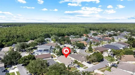 19619 Bergenfeld Drive Land O Lakes FL 34638