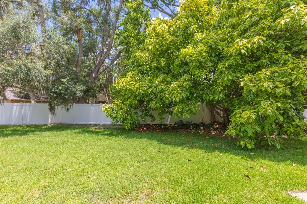 4473 Amberly Oaks Court Tampa FL 33614
