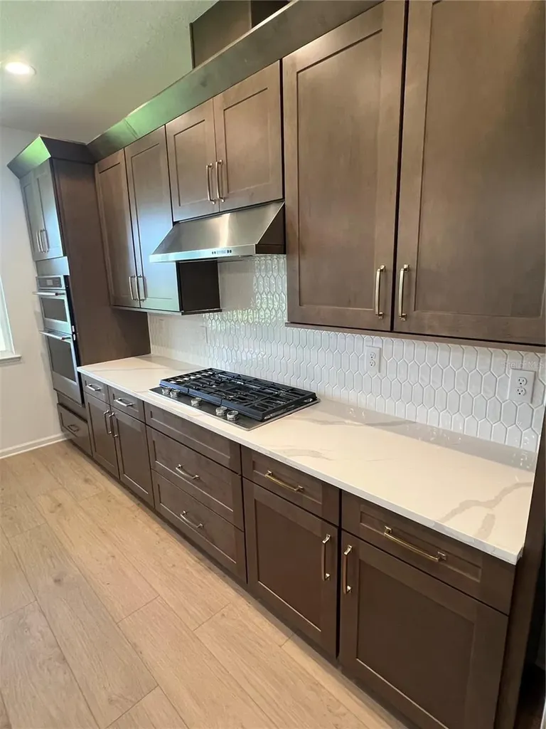 1595 Stoneclifff Drive Apopka FL 32703
