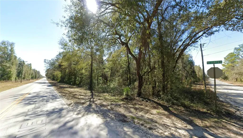 Tbd NE 118th Terrace Bronson FL 32621