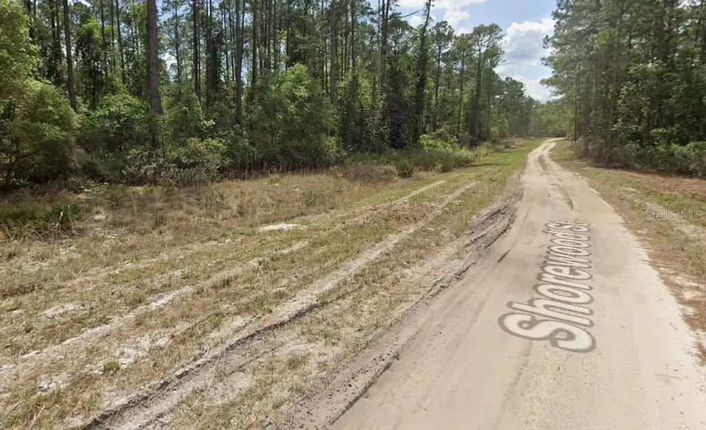 136 Shorewood Street Georgetown FL 32139