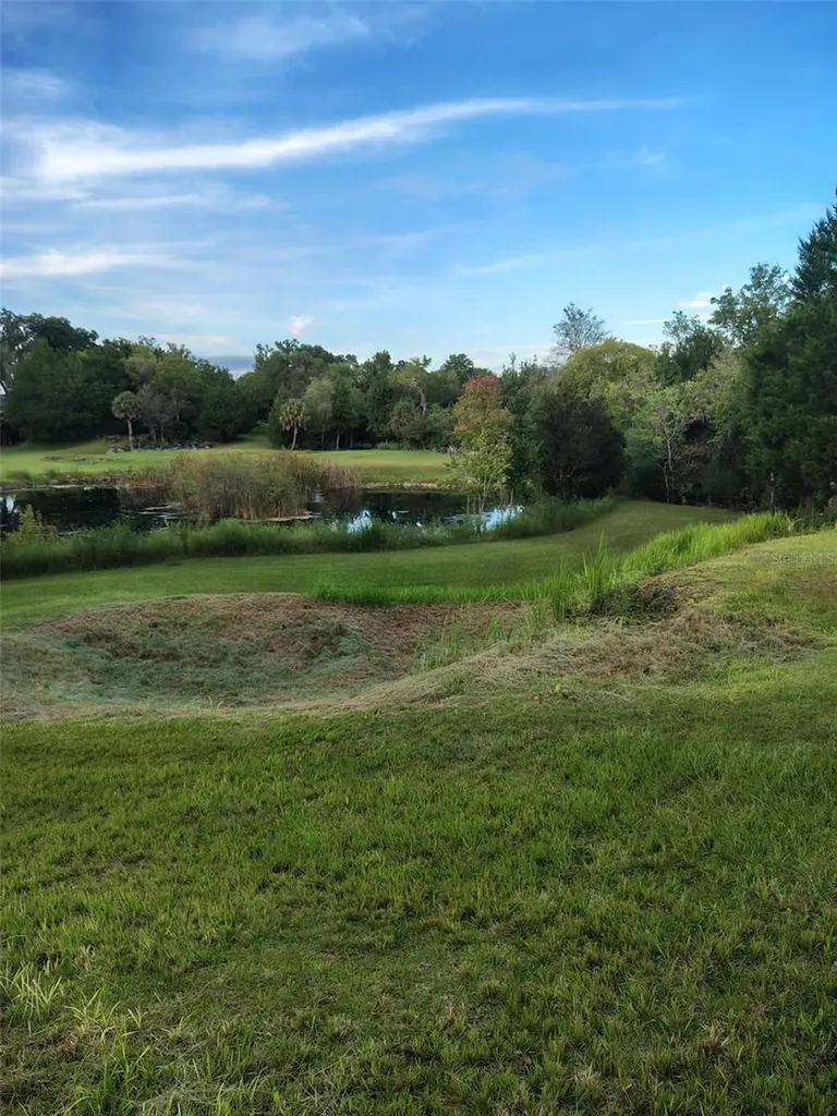 8800 S Steed Terrace Floral City FL 34436