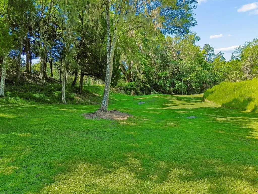 8800 S Steed Terrace Floral City FL 34436