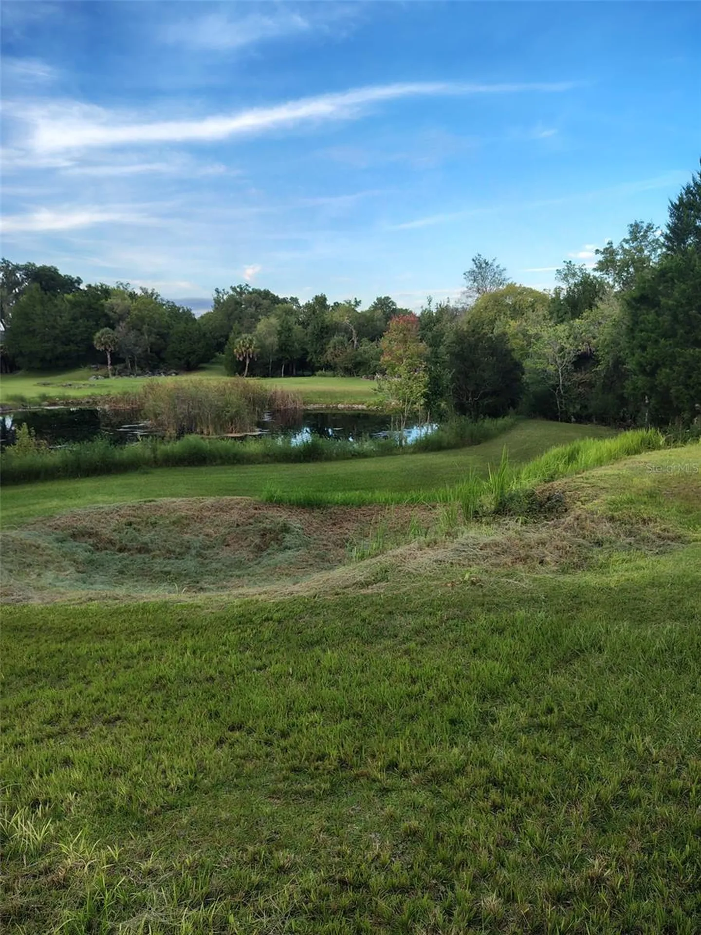 8800 S Steed Terrace Floral City FL 34436