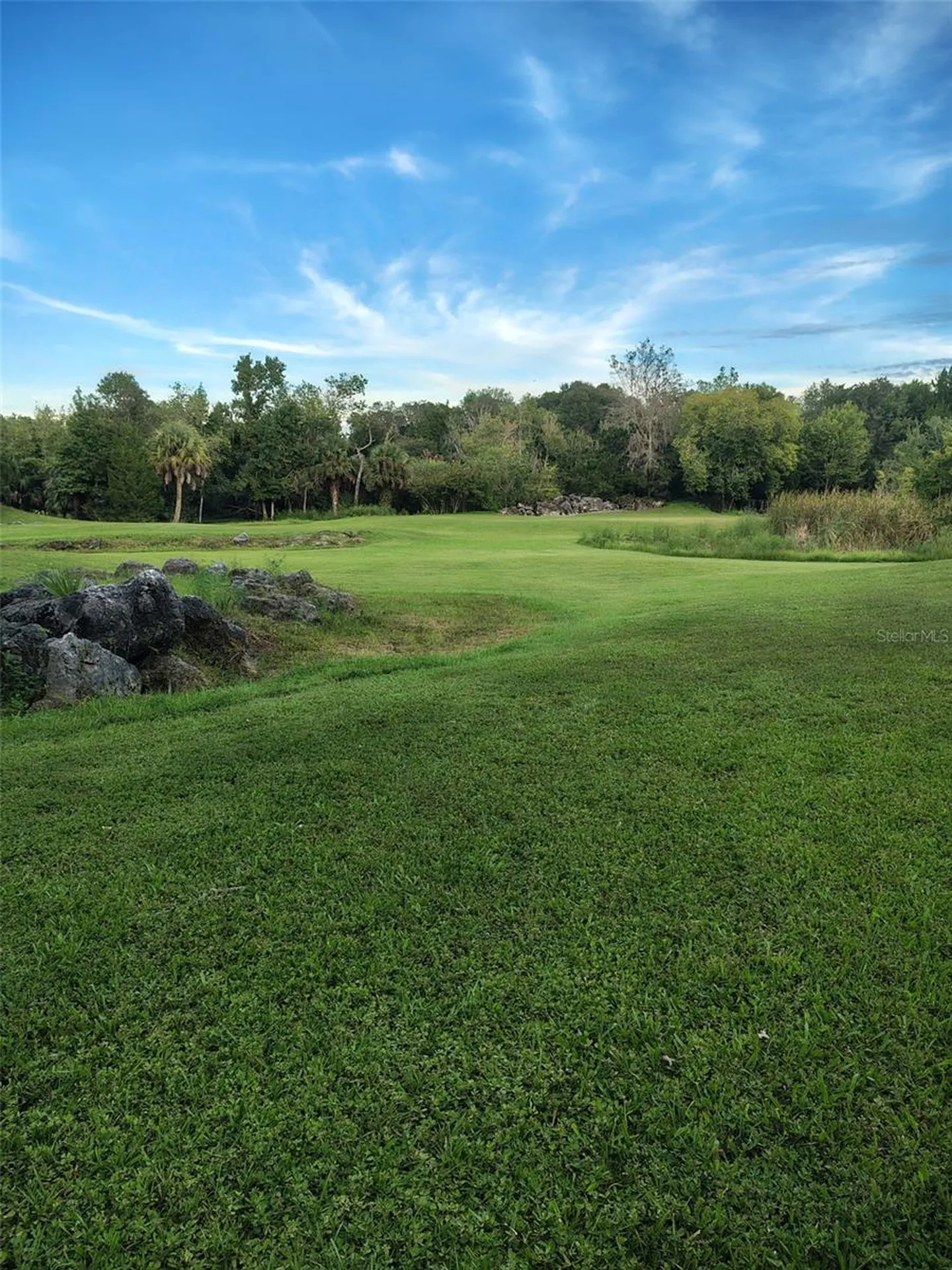 8800 S Steed Terrace Floral City FL 34436