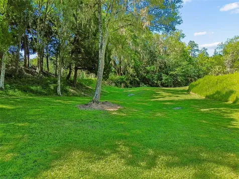 8800 S Steed Terrace Floral City FL 34436