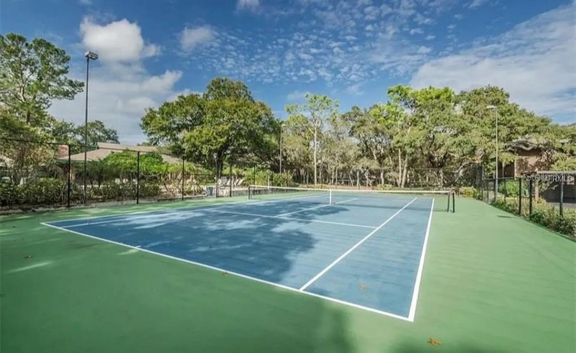 2205 Lennox Road E Palm Harbor FL 34683