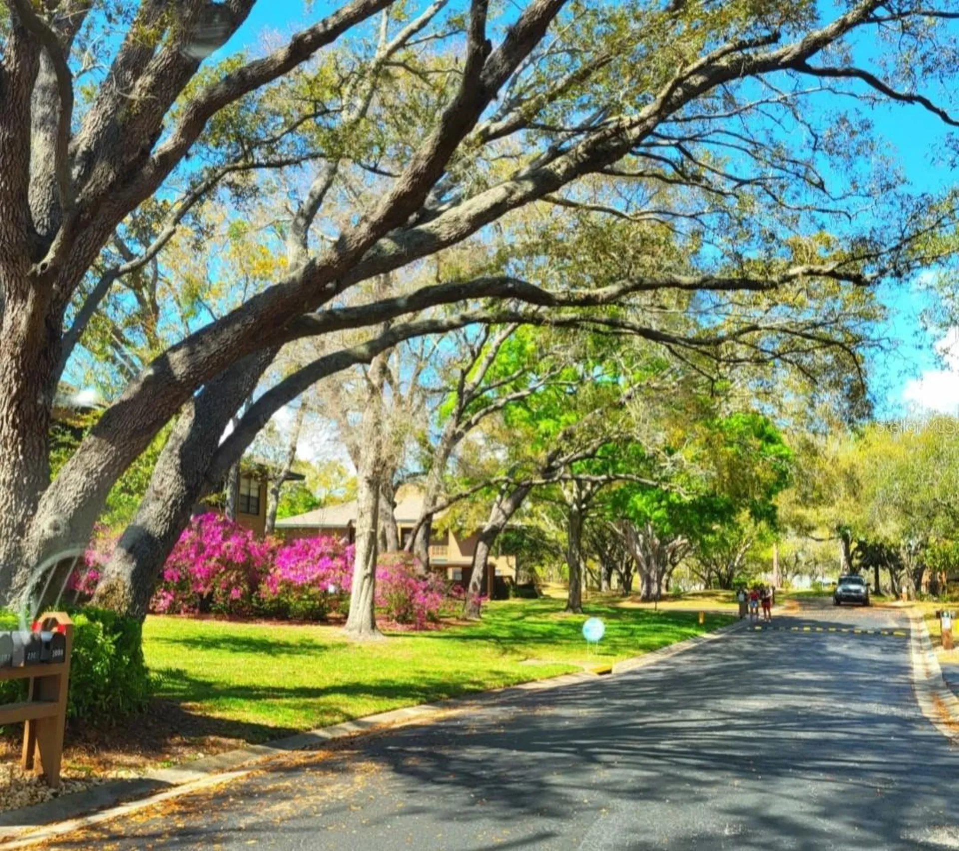 2205 Lennox Road E Palm Harbor FL 34683