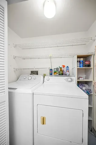 2205 Lennox Road E Palm Harbor FL 34683