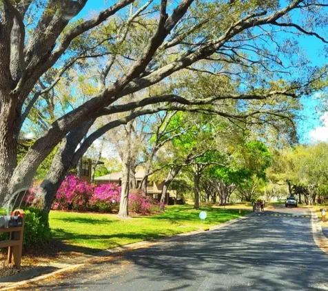 2205 Lennox Road E Palm Harbor FL 34683